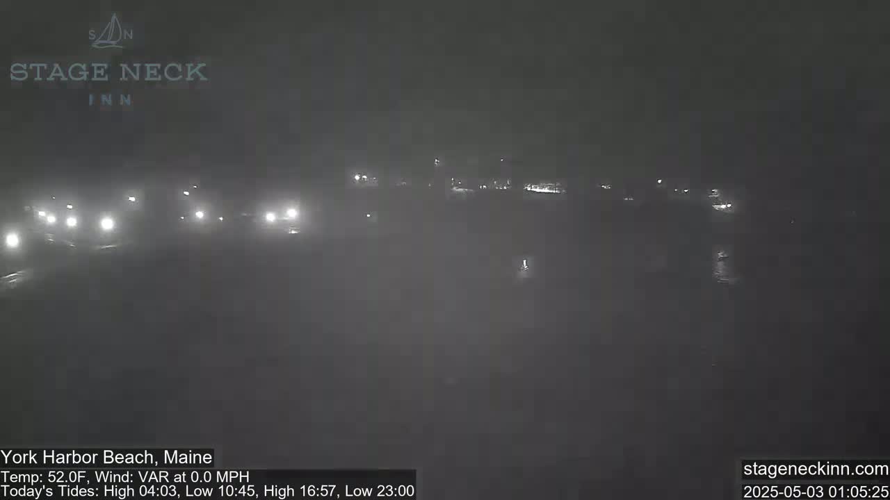 A foggy nighttime scene shows a road with several cars driving and a dark body of water beyond.