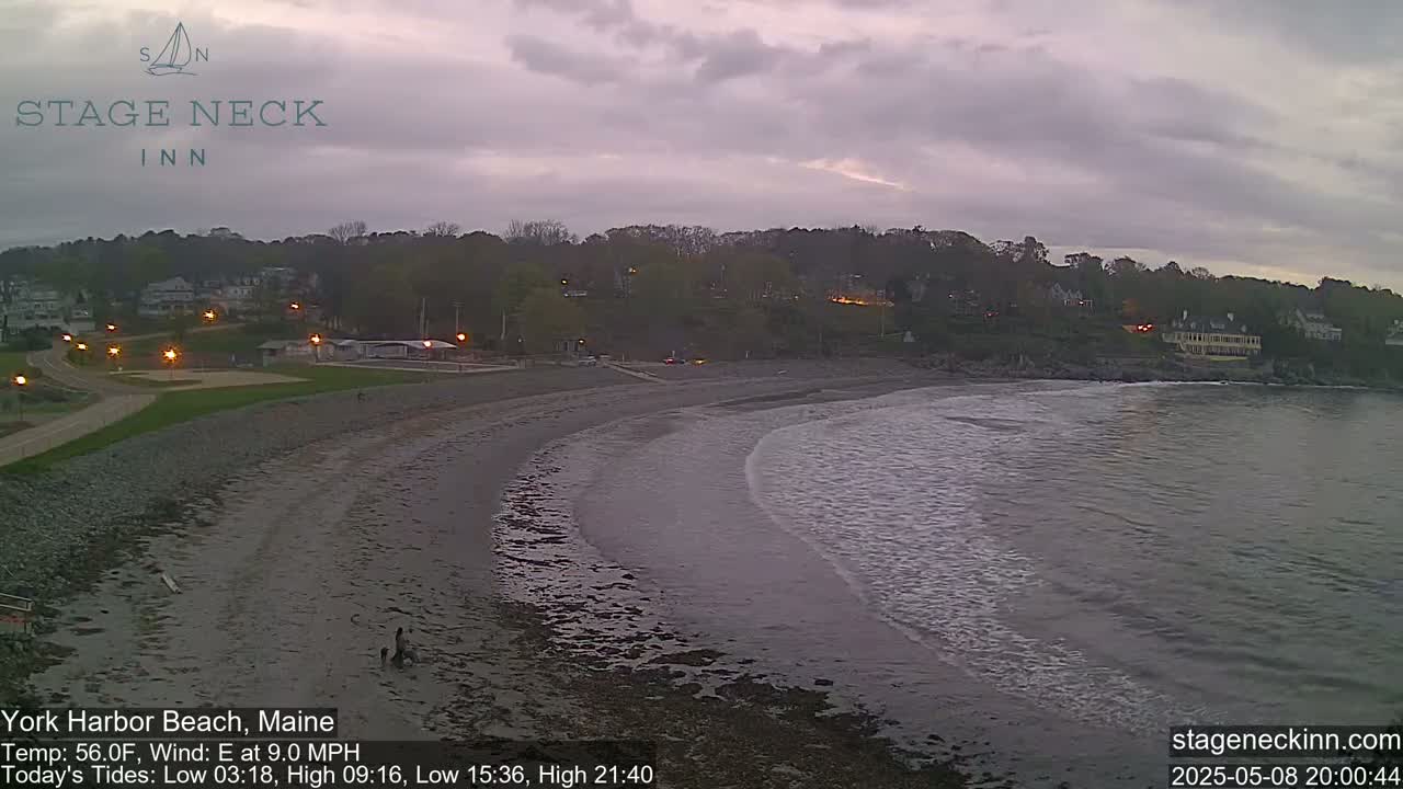 A sandy beach with gentle waves meets a calm, overcast evening sky, with a few people visible near the water's edge.