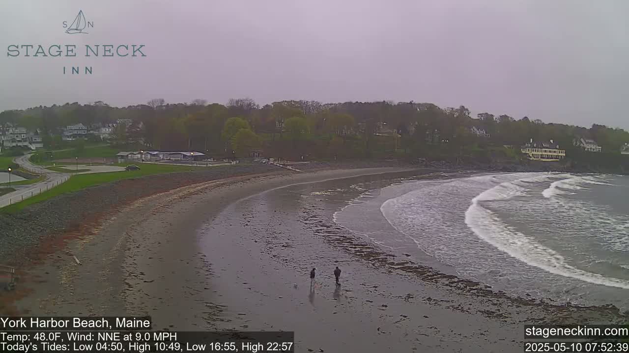 Two people walk a dog on a wet, sandy beach under an overcast sky with small waves breaking on the shore.