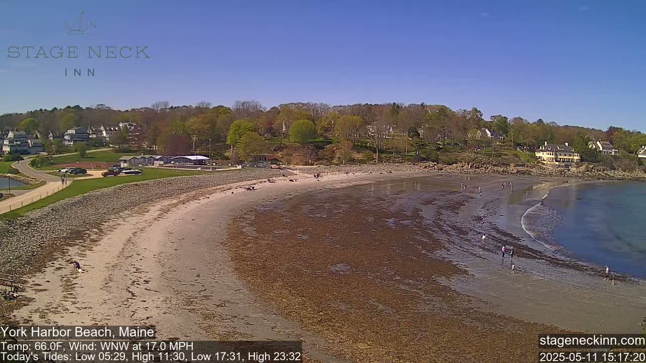 A sandy beach with scattered people stretches along a calm bay under a clear blue sky, backed by a line of trees and houses.