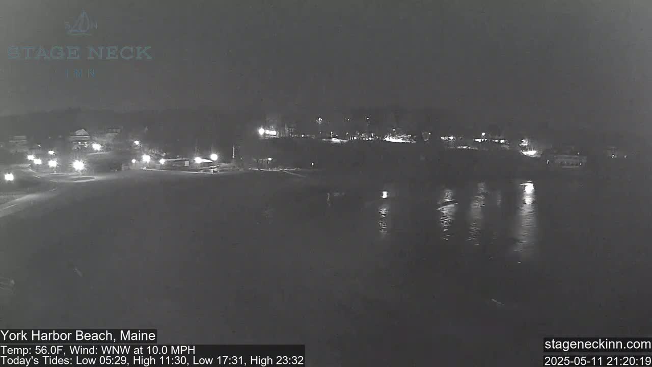 A nighttime view of a dark beach and calm water, with a few distant lights visible on land.