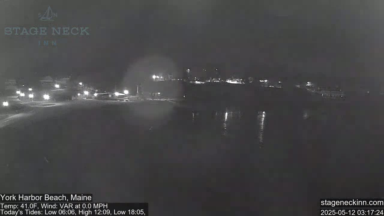 A nighttime, low-light view of a calm body of water near a road with some scattered lights.