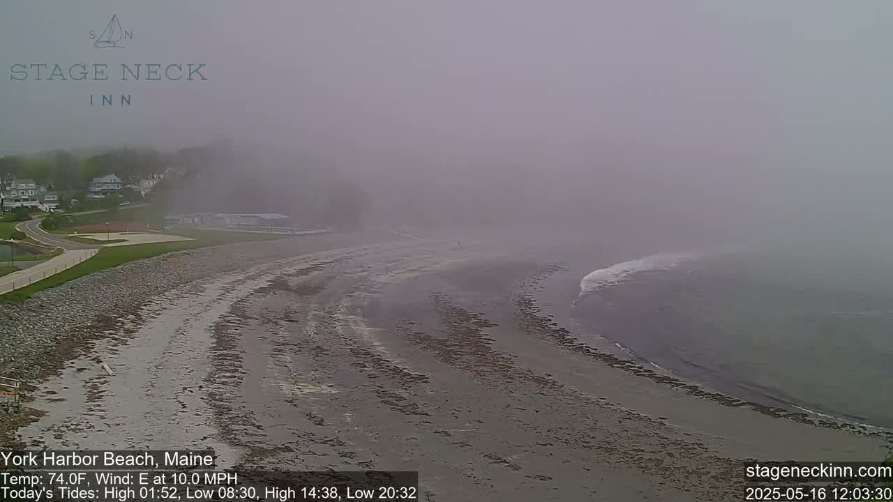 A foggy beach scene shows a sandy shore curving into a calm ocean with small waves, backed by buildings and trees obscured by the mist.