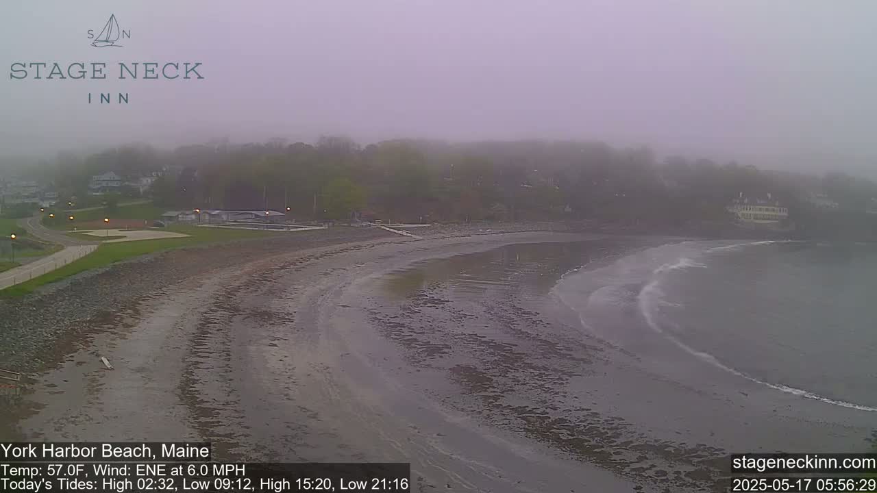 A foggy beach with a calm ocean, curving shoreline, and buildings in the background.
