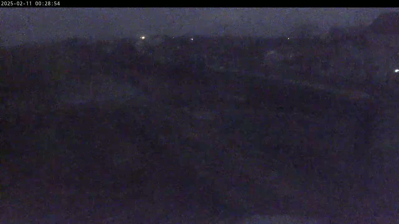 A dark, nighttime view of a seemingly flat, vegetated area with a few distant lights visible under a cloudy or overcast sky.