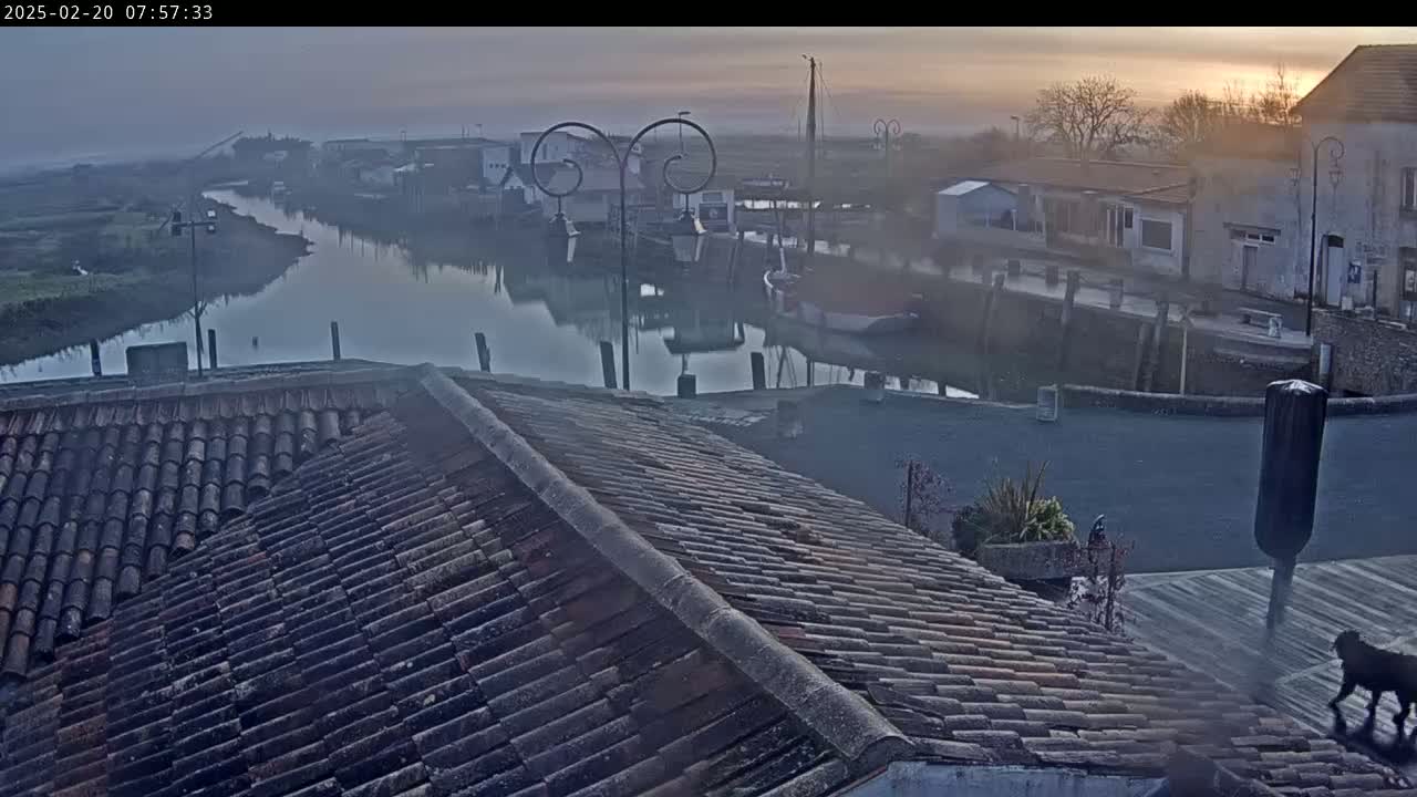 A hazy sunrise illuminates a calm waterway lined with buildings and boats, viewed from a tiled rooftop.