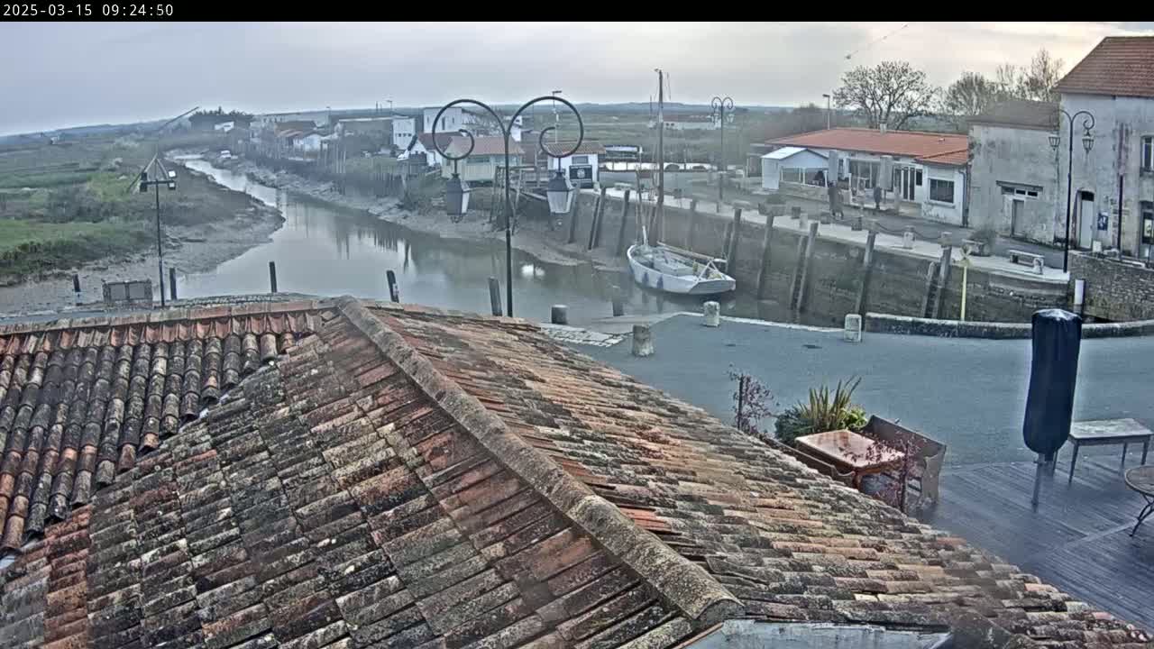 A view from a tiled roof shows a calm river flowing past a small waterfront village under an overcast sky.