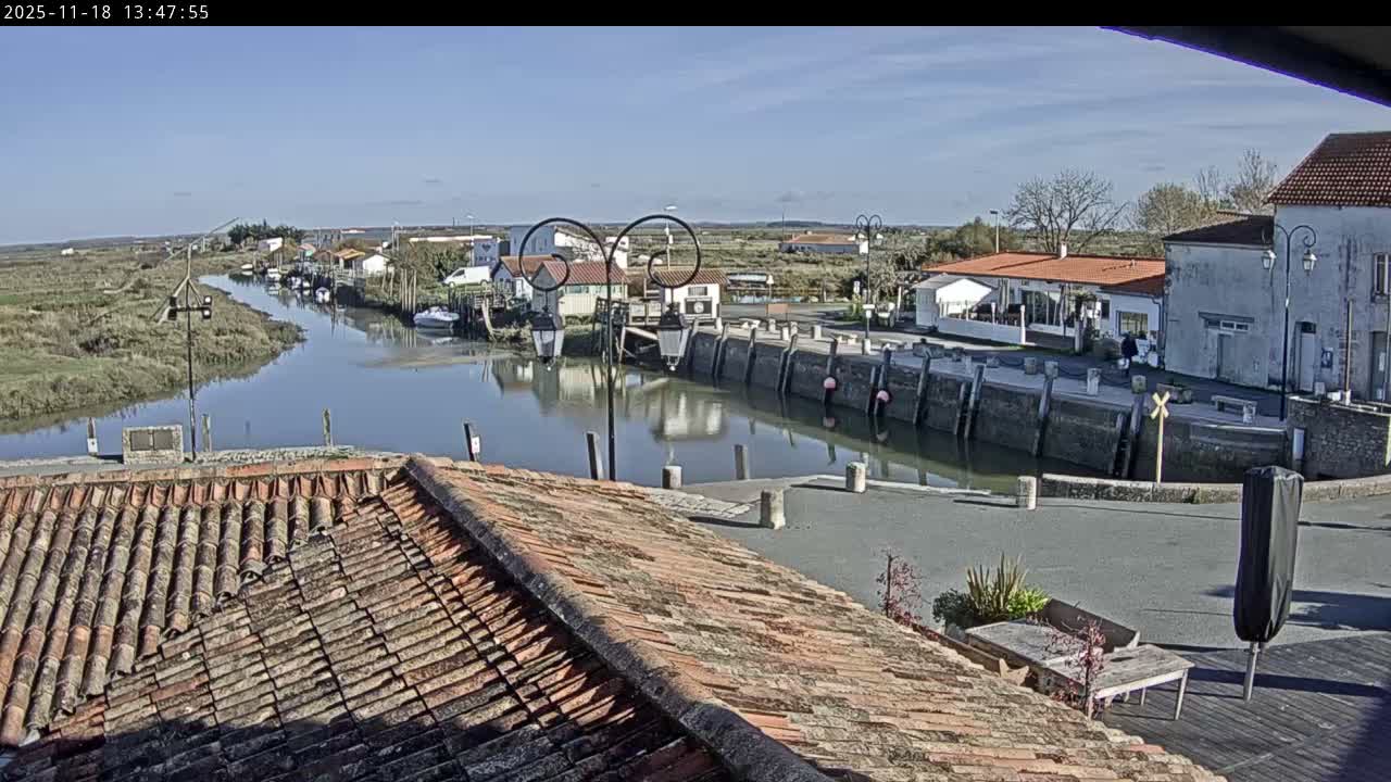A nighttime view of a small harbor with boats and buildings under light rain.