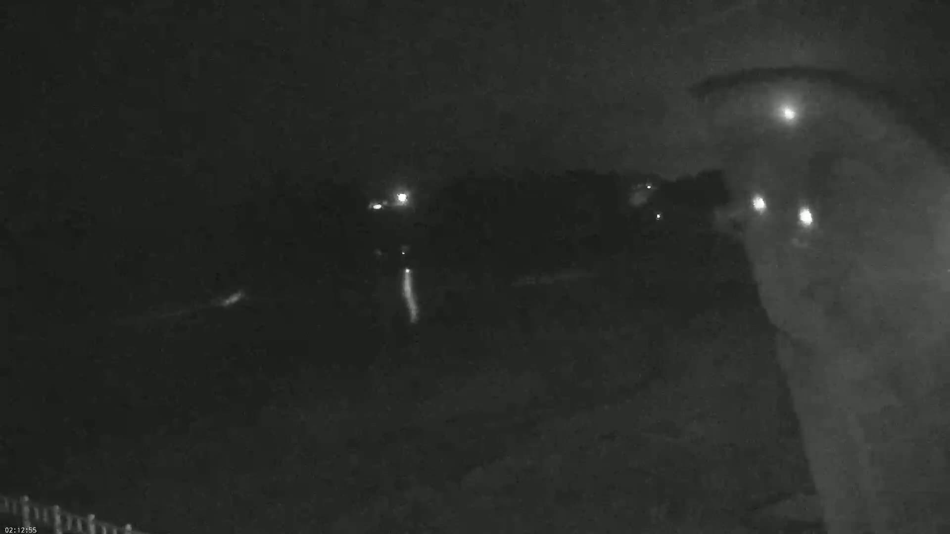 A nighttime, low-light image shows a dark, possibly wooded area with faint lights in the distance and a blurry object in the foreground.