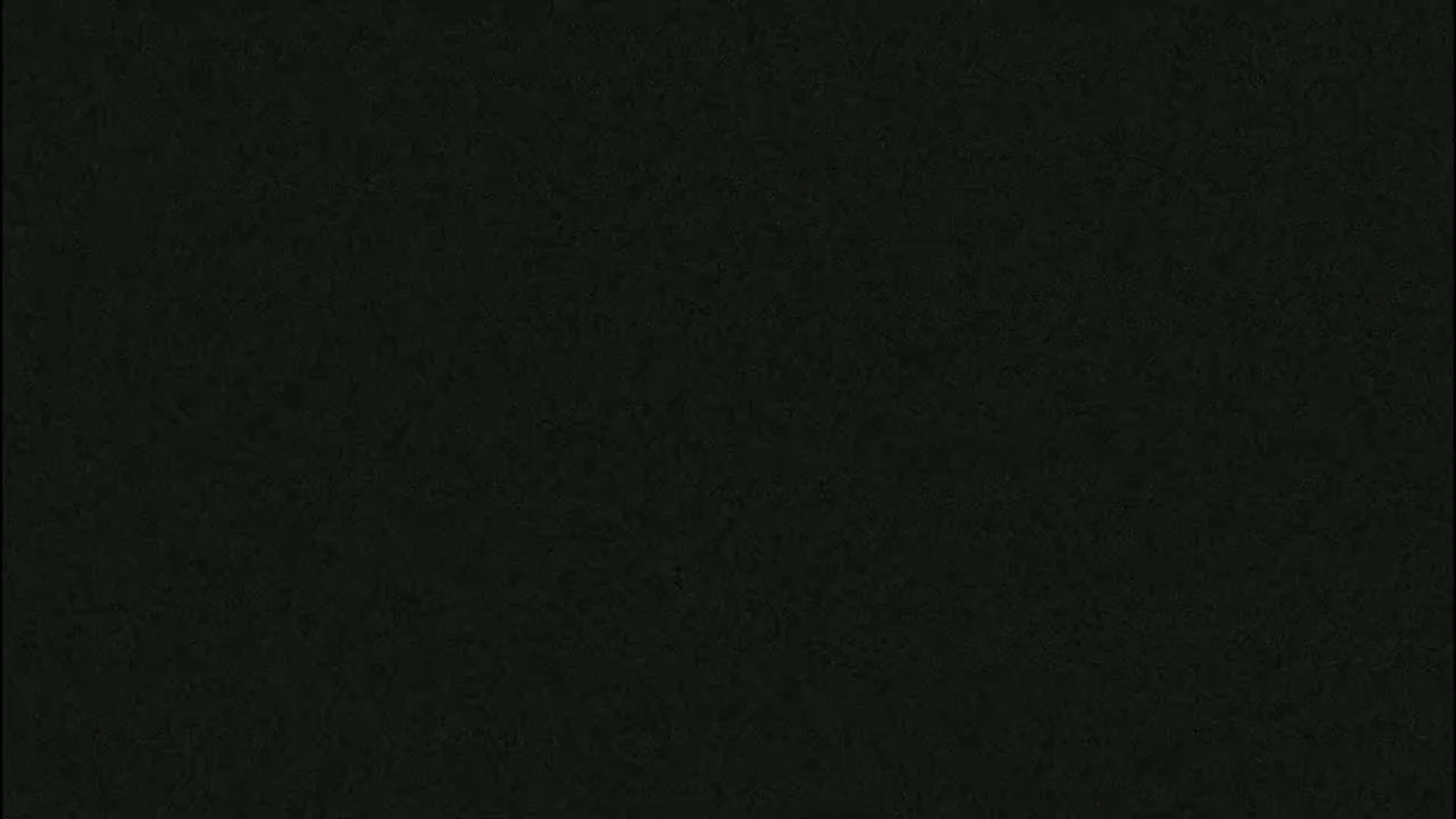 The image shows a dark, textured surface.