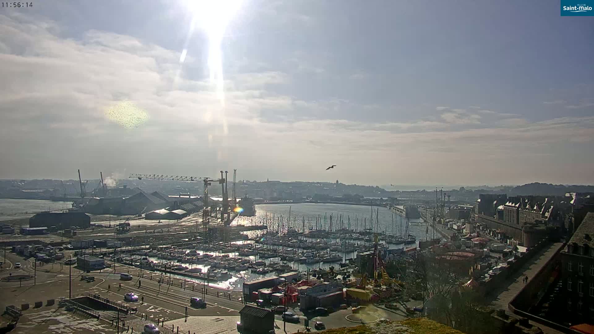 A sunny day shows a harbor filled with boats, industrial areas, and a walled city, with a bird in flight.
