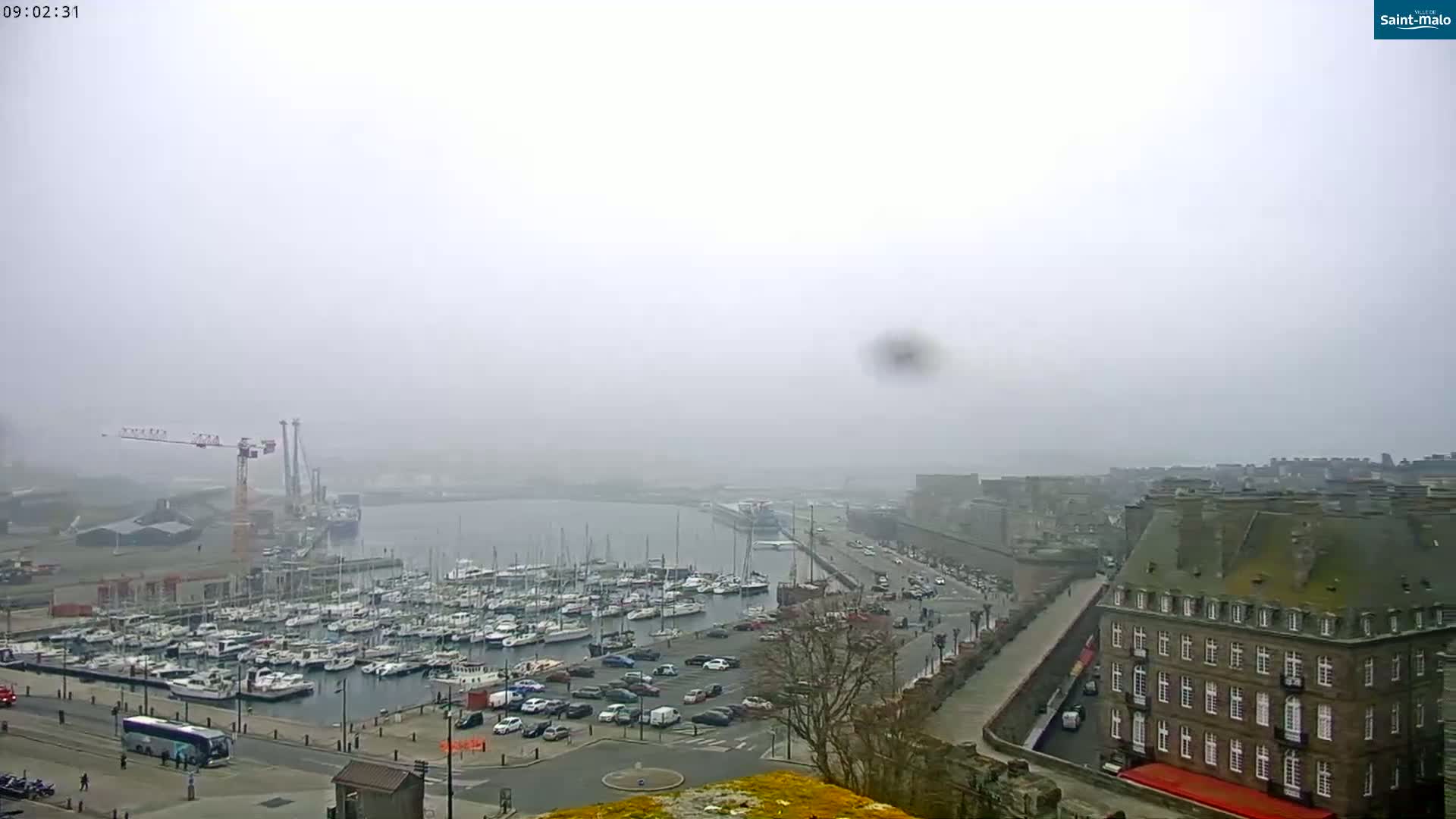 A foggy harbor filled with numerous boats, a parking lot, and buildings, with a crane visible in the distance.