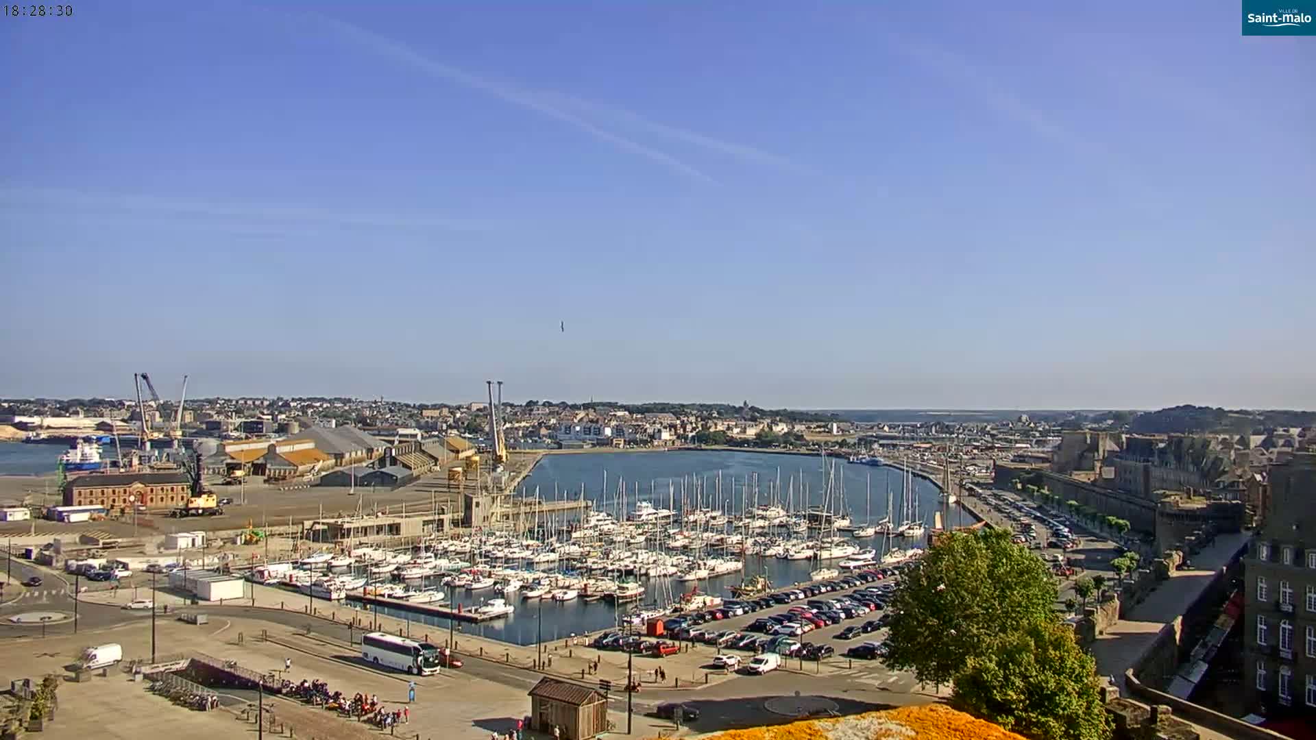 A sunny day overlooks a harbor filled with sailboats and yachts, a city skyline, and a portion of a walled city.