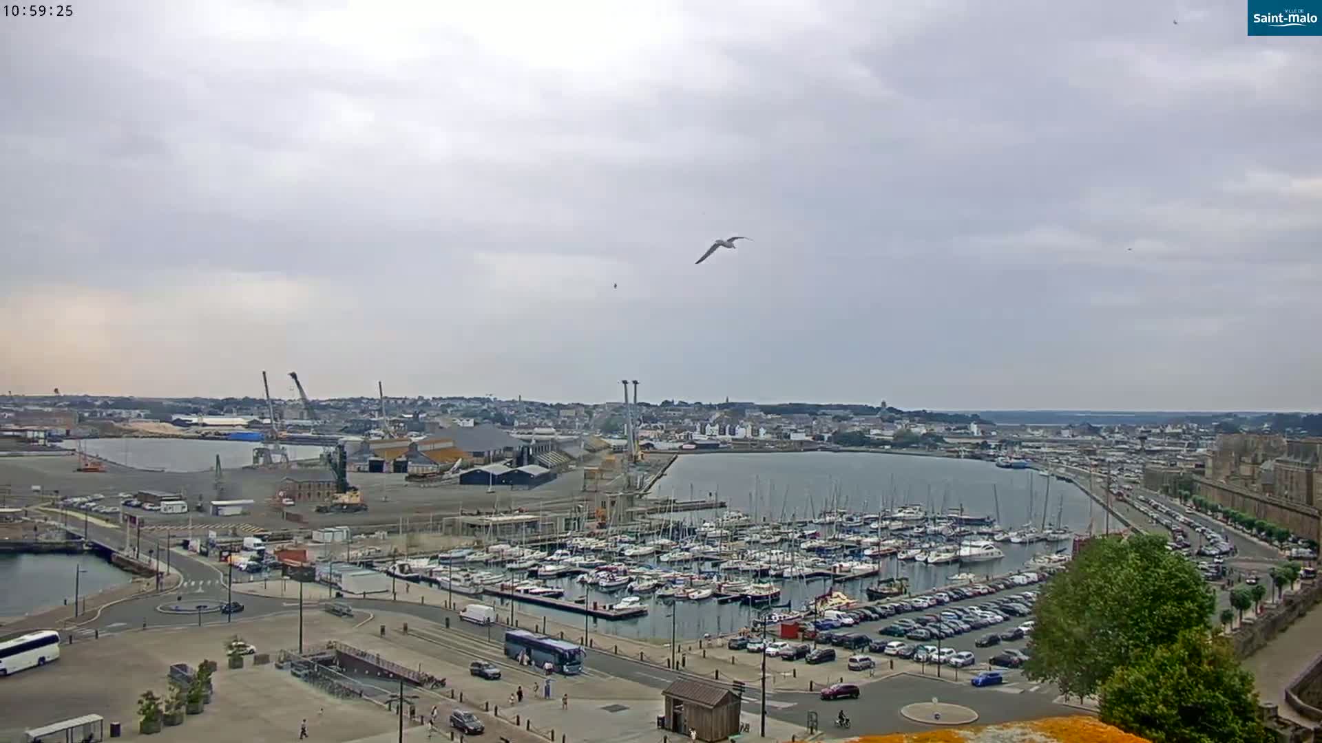 A harbor filled with numerous boats is viewed from above on an overcast day, with a town and cranes visible in the background.