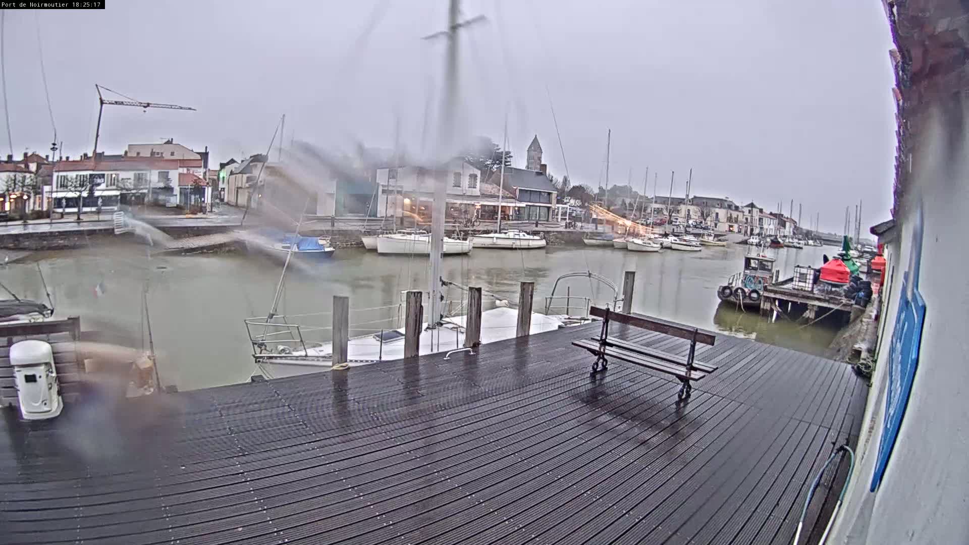 A rain-slicked dock overlooks a harbor filled with sailboats and small vessels, under an overcast sky.