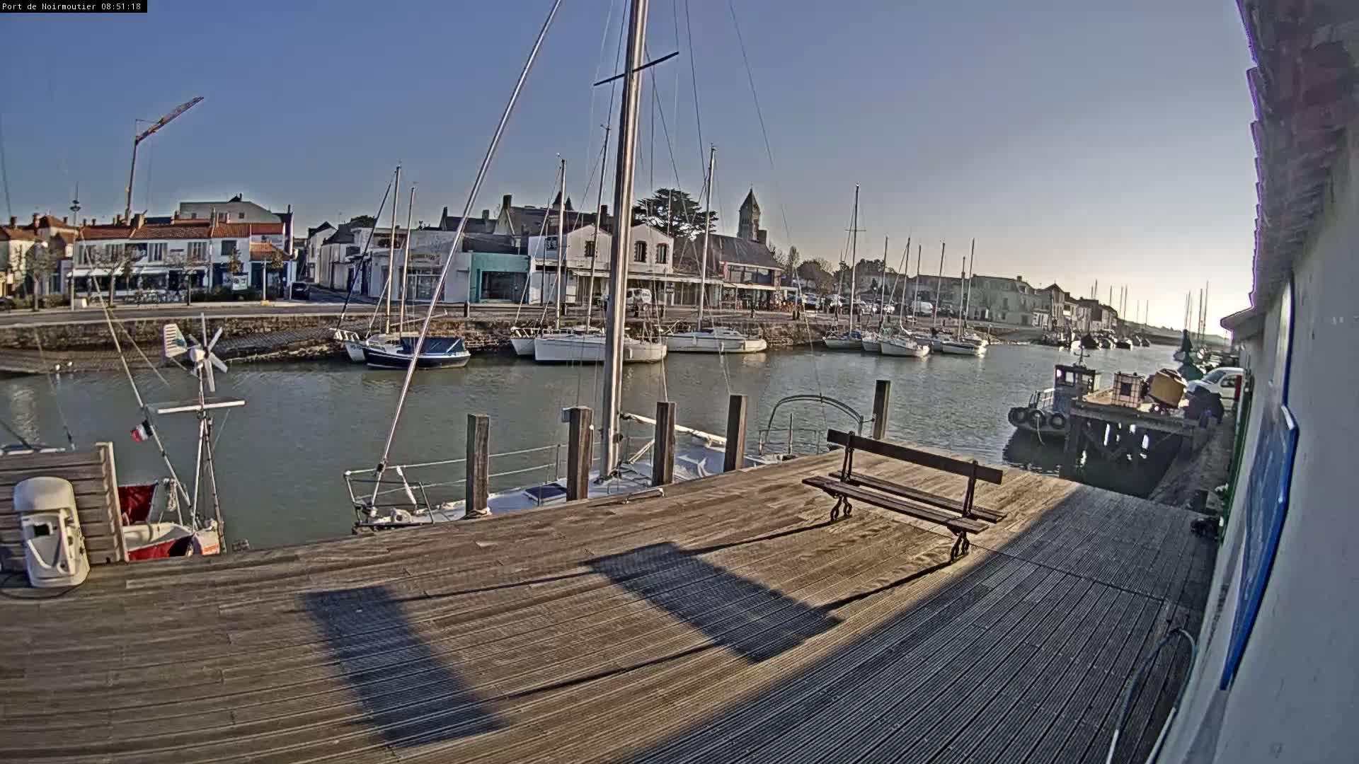 A sunny harbor scene shows numerous sailboats moored in calm water alongside a wooden dock with a bench, and buildings lining the waterfront.