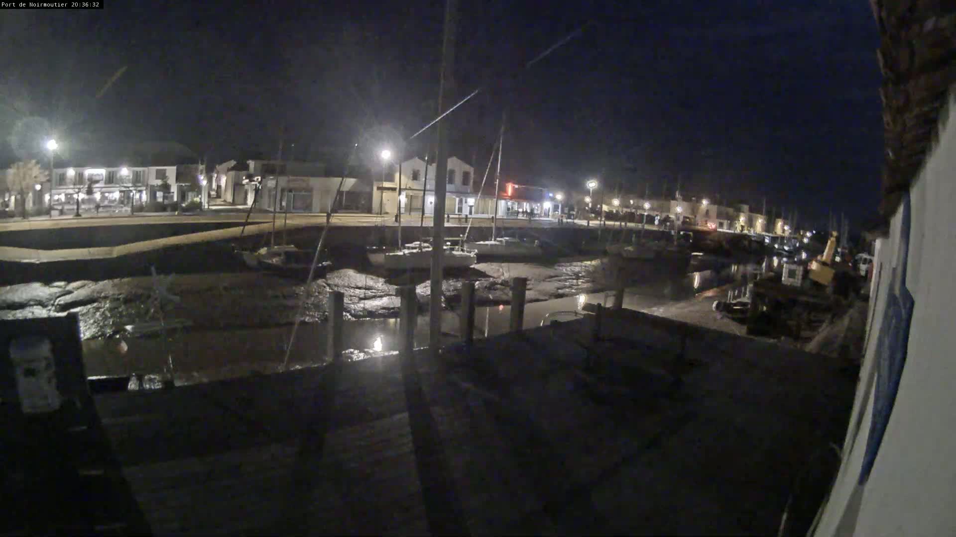 A nighttime view of a harbor with boats docked along a muddy shoreline under a dark sky.