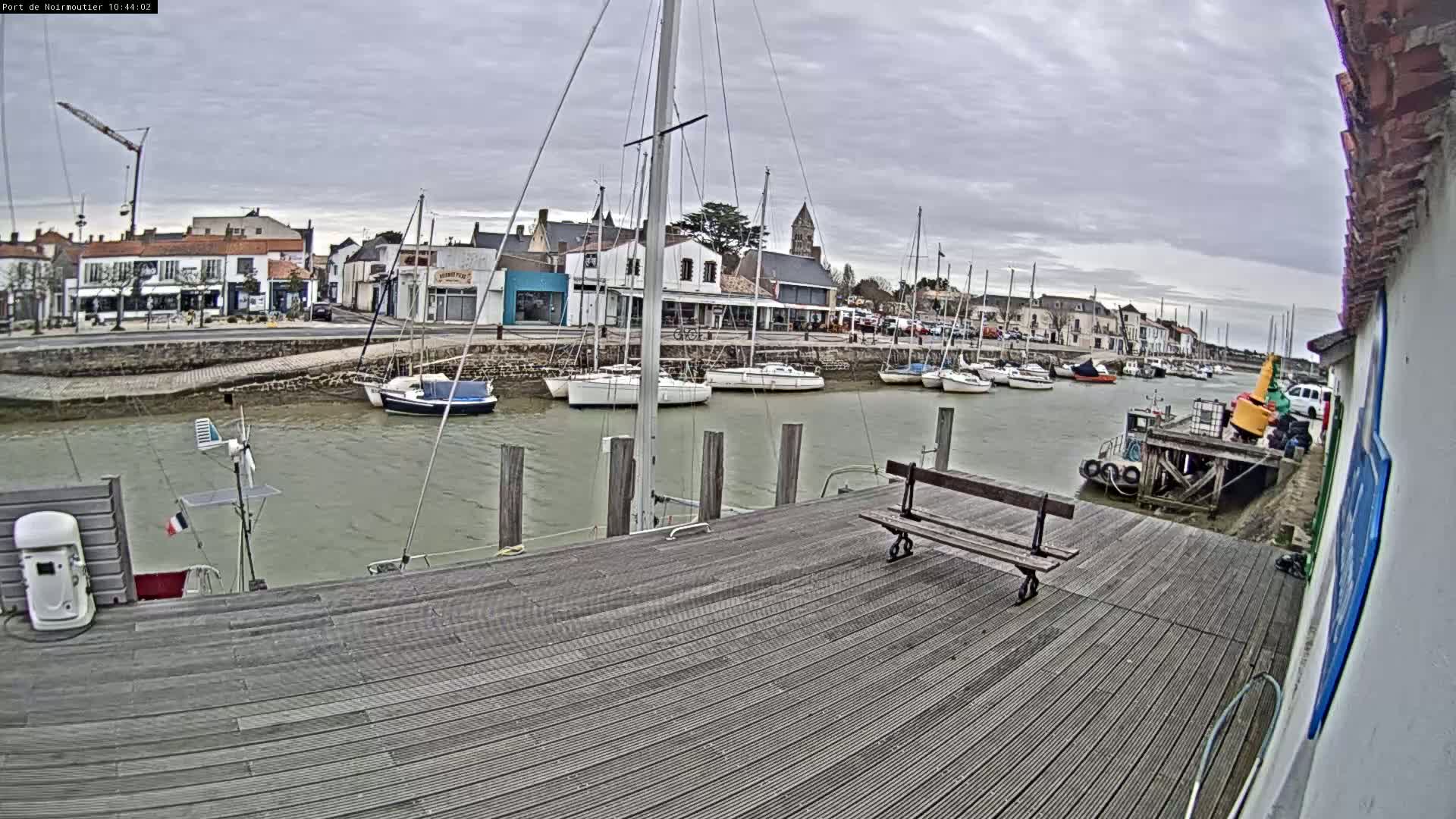 A wooden dock overlooks a calm harbor filled with sailboats, under an overcast sky.