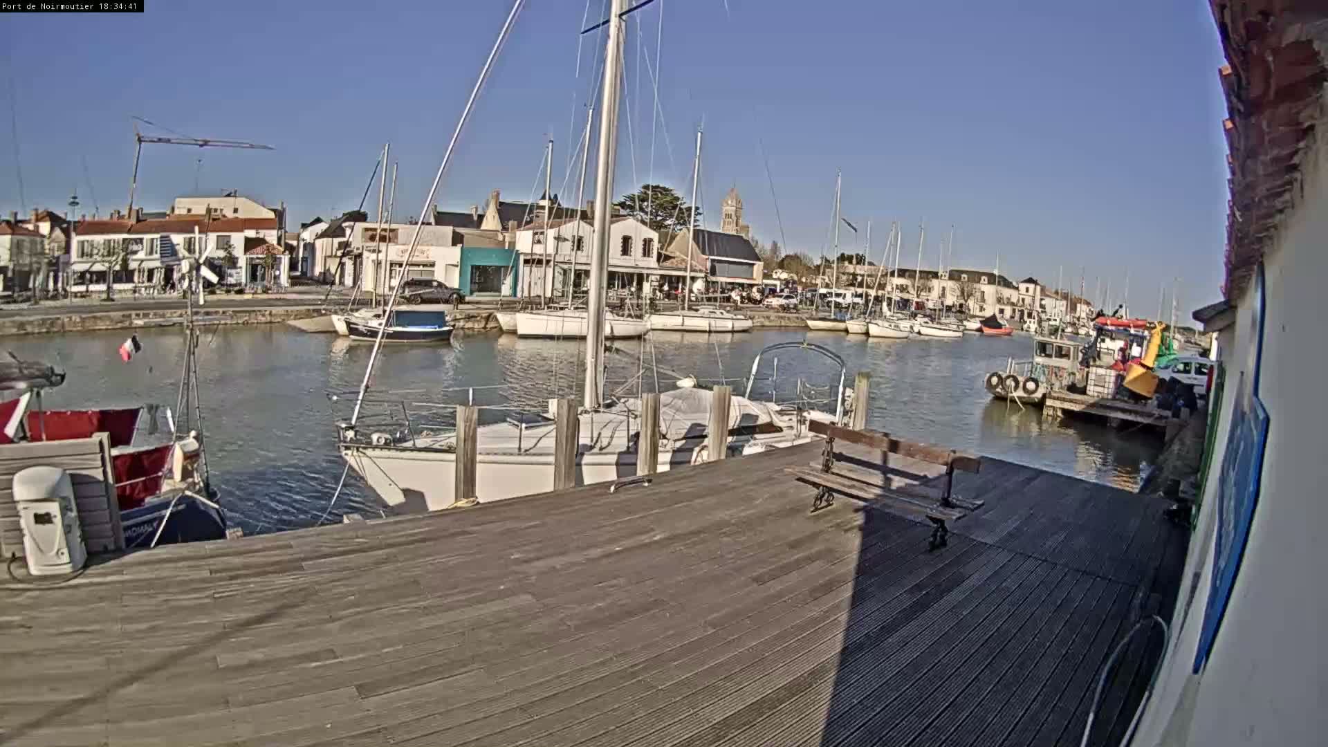 A sunny day at a harbor shows many sailboats moored in calm water, alongside a wooden dock with a bench.