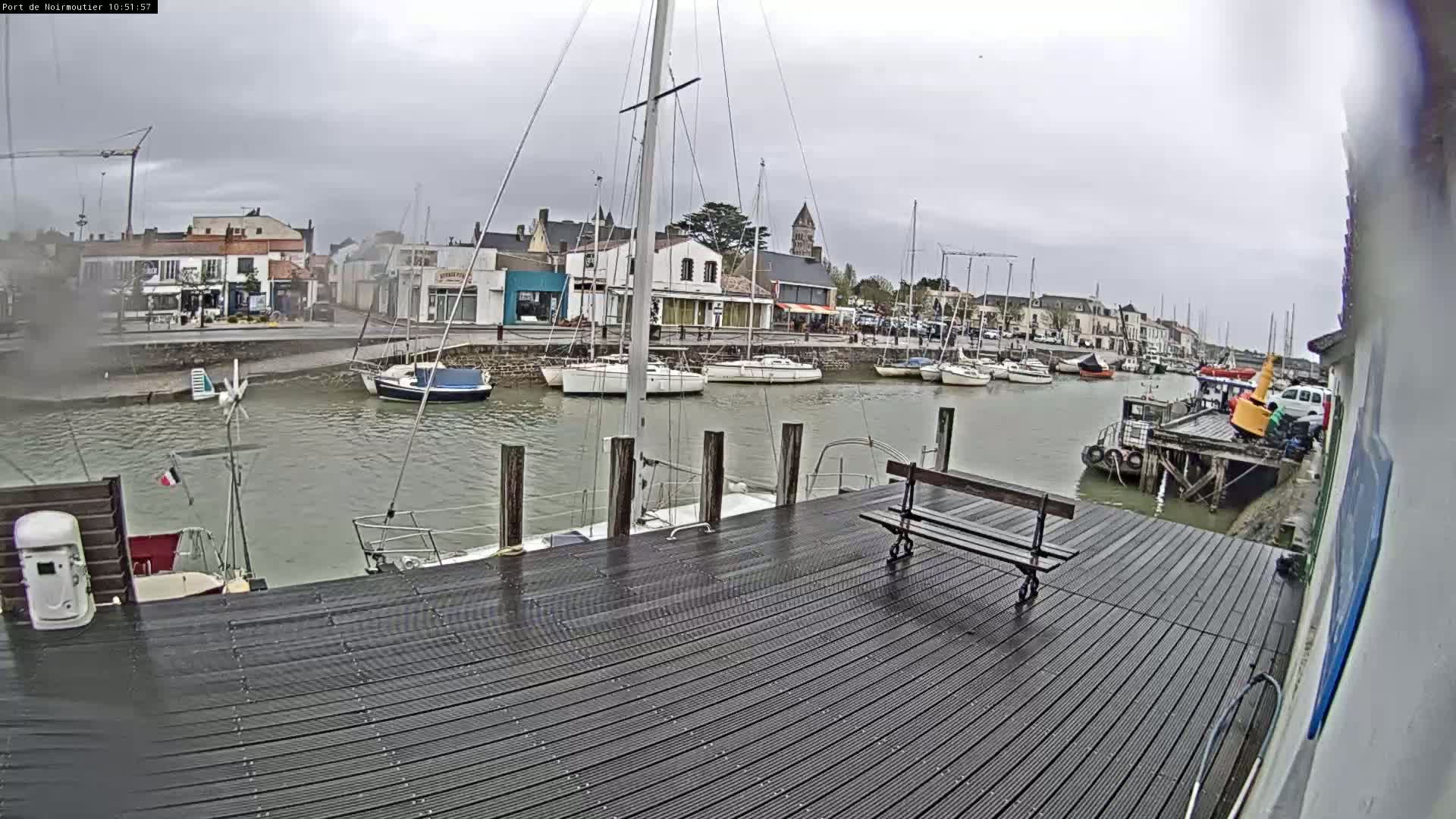 A wet wooden dock overlooks a calm harbor filled with sailboats on an overcast day.