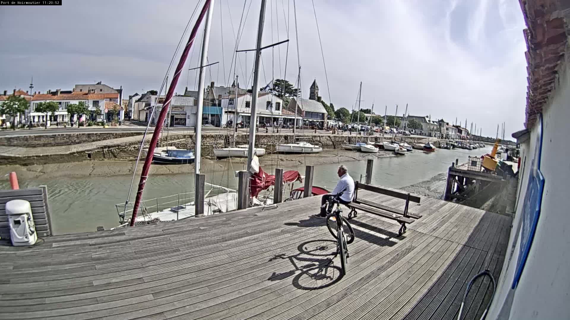 A man sits on a bench next to a bicycle on a wooden dock overlooking a harbor filled with sailboats on a partly cloudy day.