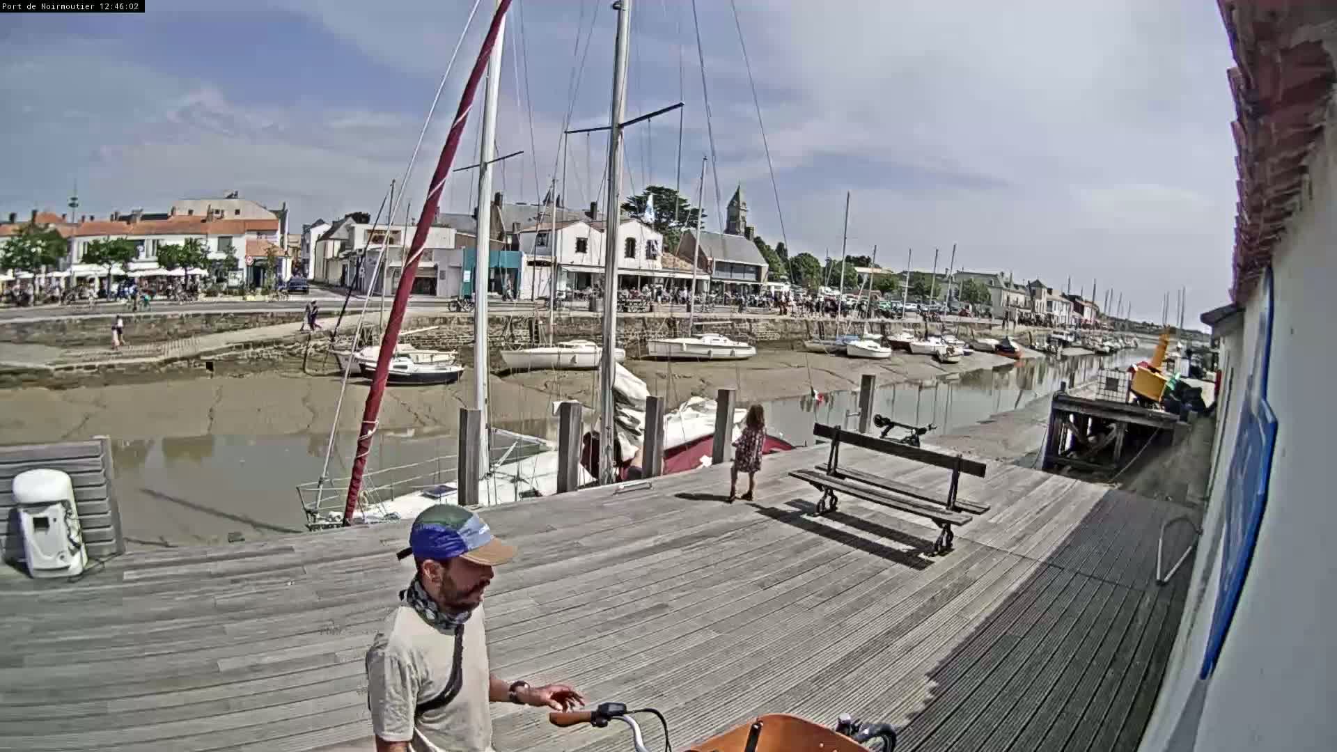 A man with a bicycle stands on a wooden dock overlooking a harbor with sailboats at low tide under a sunny sky.