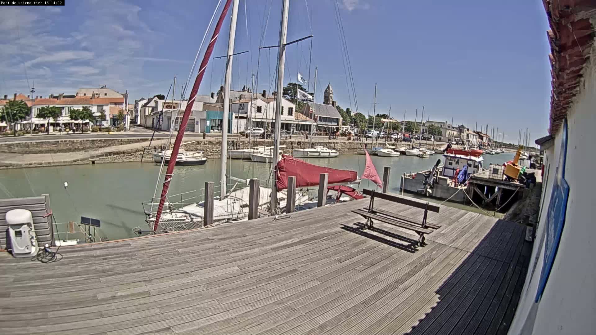 A wooden dock overlooks a calm harbor filled with sailboats on a sunny day.