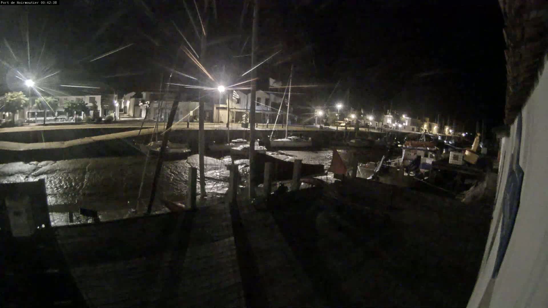 At night, a harbor filled with boats is illuminated by streetlights, with calm water visible between the docks.
