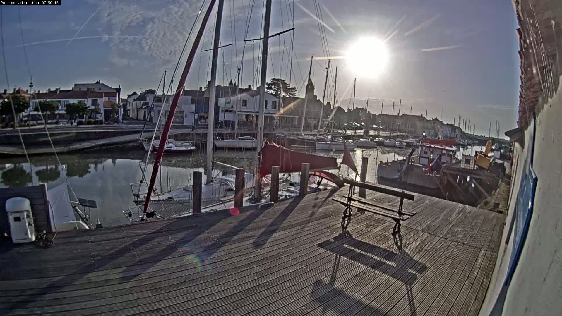A sunny day at a harbor shows sailboats docked along a wooden pier, with buildings and other boats in the background.