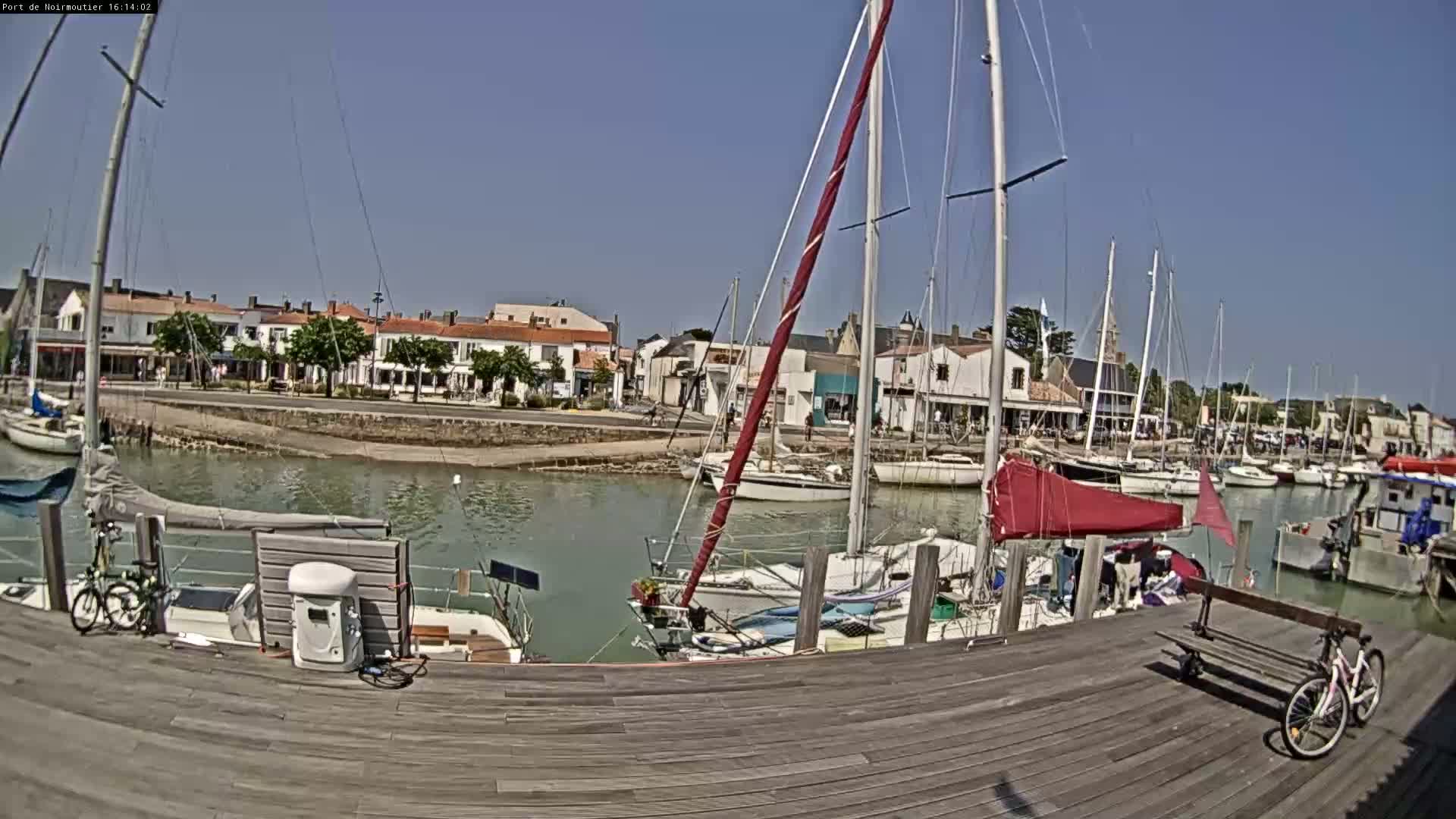 A sunny day at a harbor shows numerous sailboats docked along a wooden pier, with a town and buildings visible in the background.