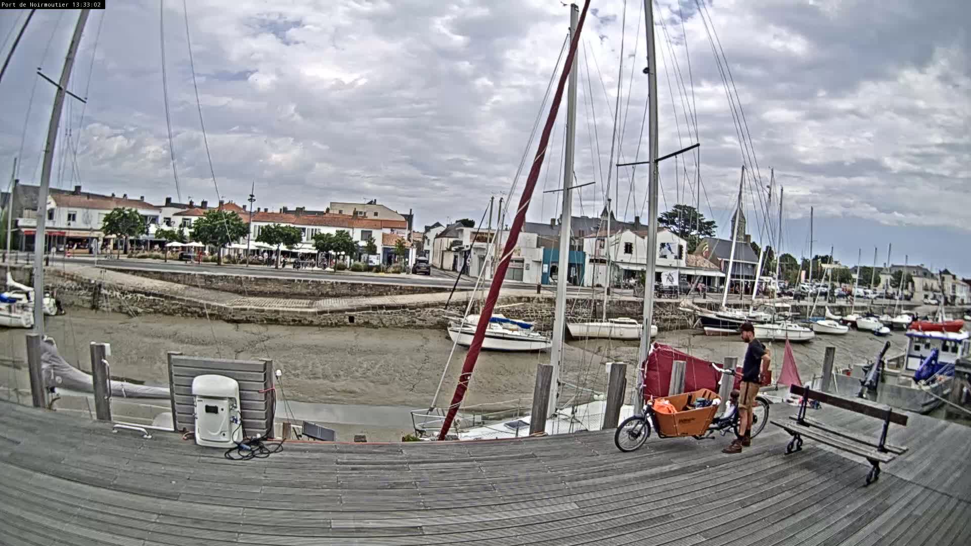 A man stands beside a cargo bike on a wooden dock overlooking a harbor with numerous sailboats at low tide under a cloudy sky.