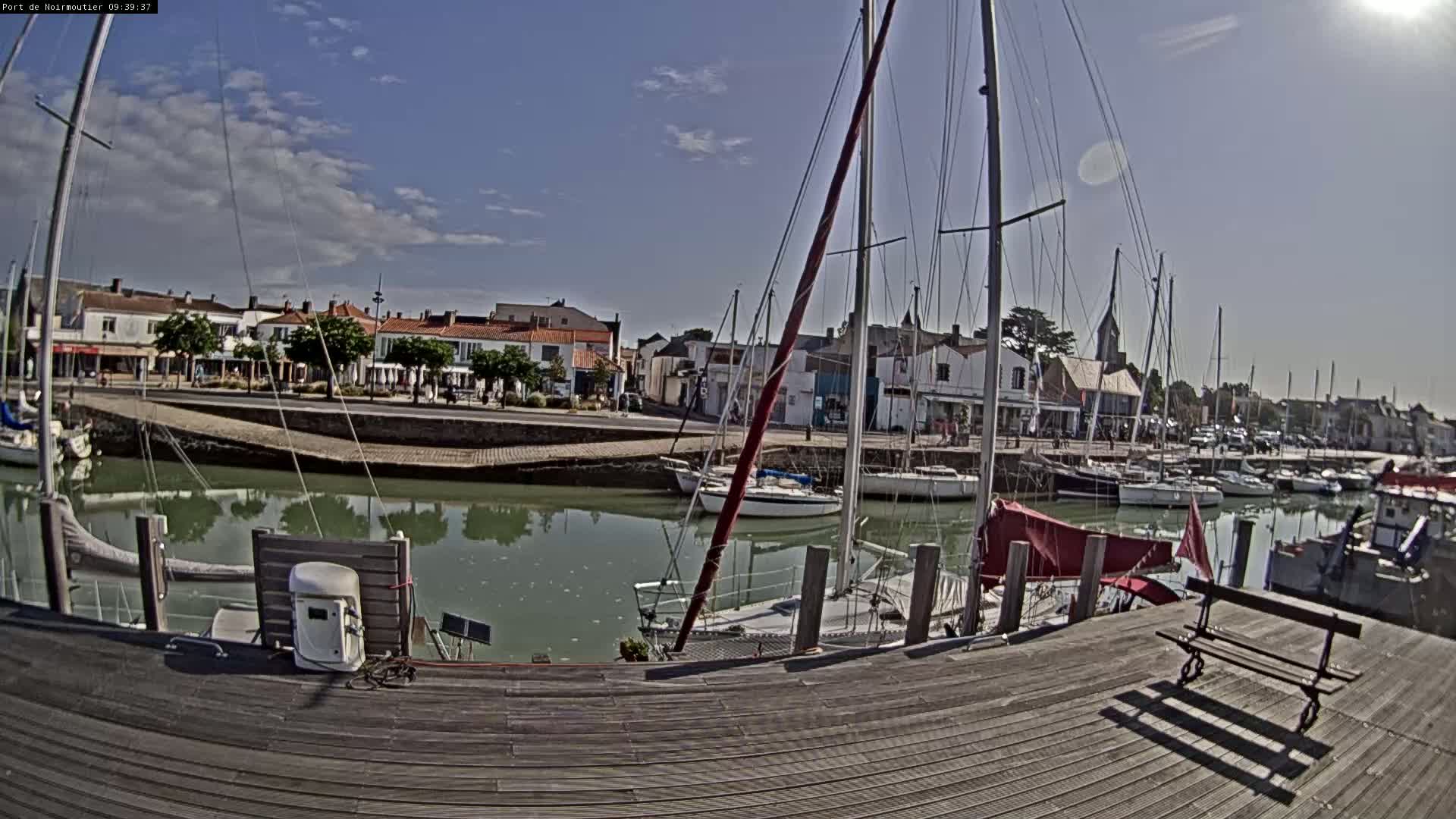 A sunny day at a harbor shows sailboats moored at docks, with buildings and trees visible along the waterfront.