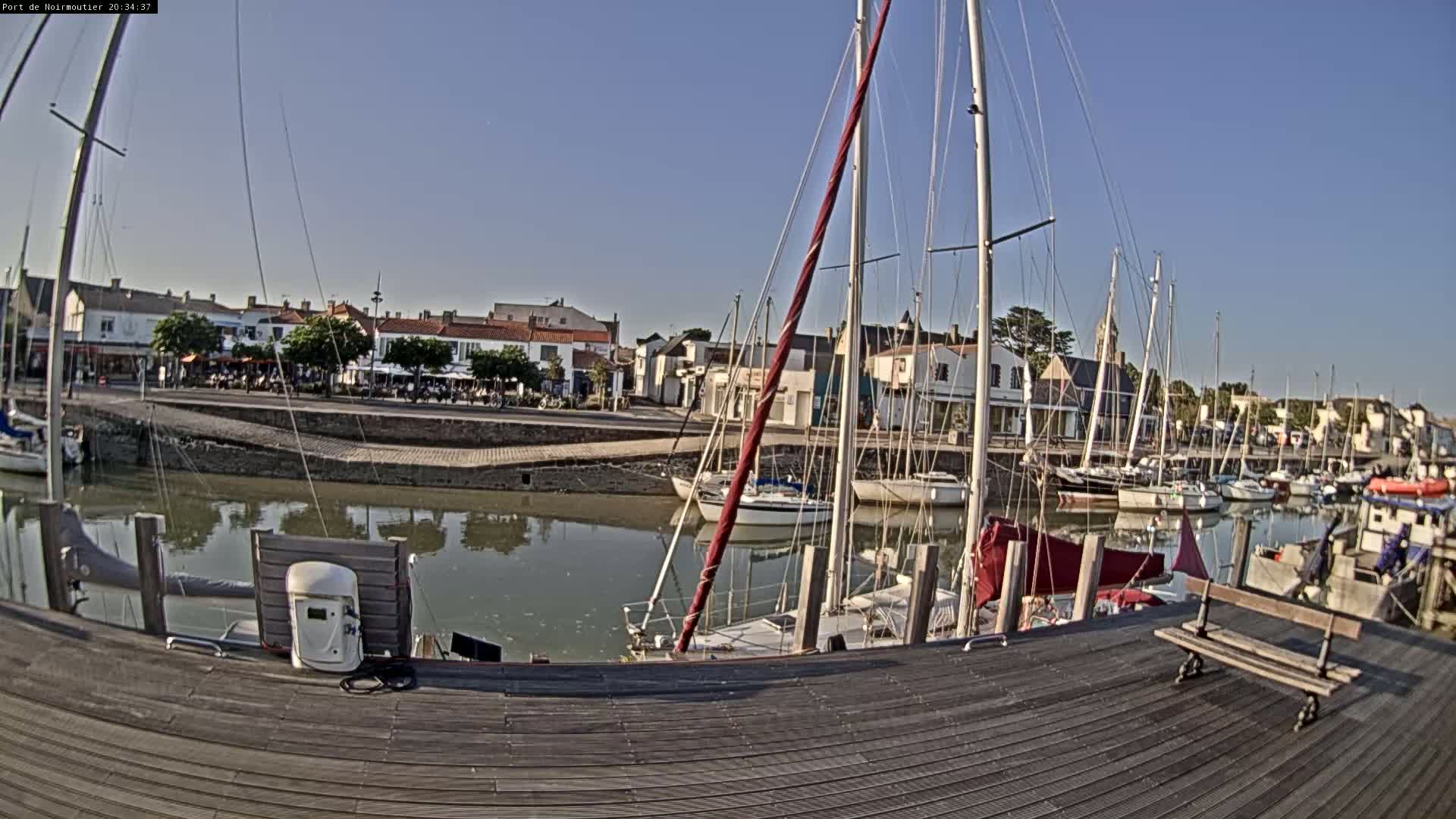 A calm harbor filled with sailboats is seen from a wooden dock on a sunny day.