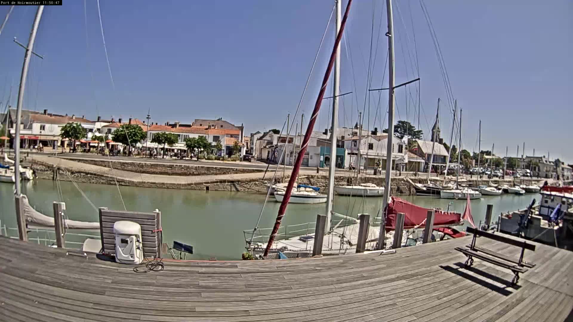 A sunny day at a harbor shows sailboats docked along a calm waterway, with a boardwalk in the foreground and buildings lining the waterfront.
