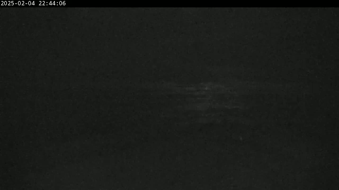 A dark, nighttime image shows a faintly illuminated, possibly watery, surface.