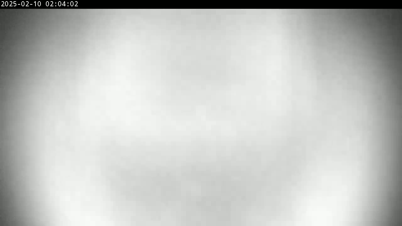 The image shows a blurry, mostly white, grainy surface.