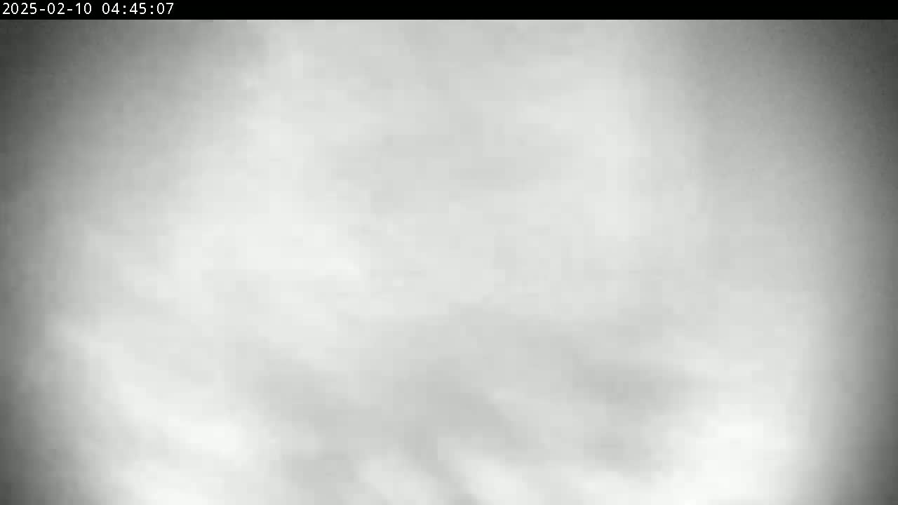 A blurry, overcast sky is shown.