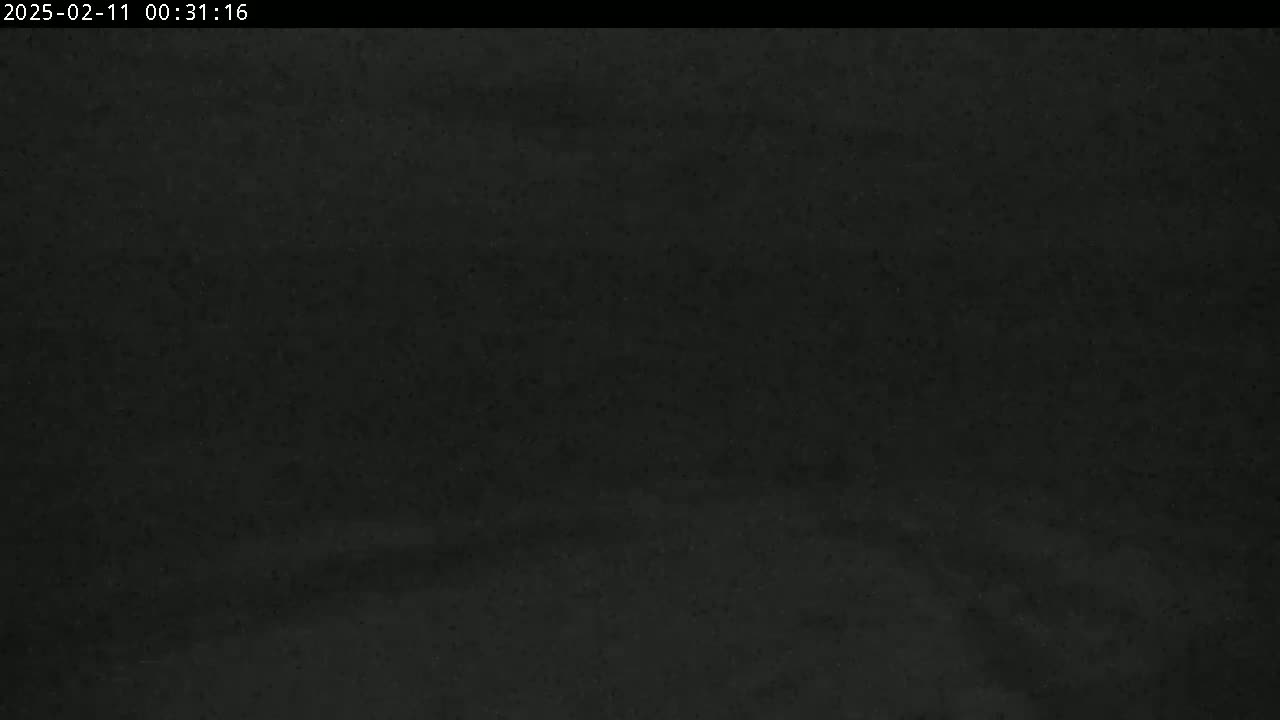 The image shows a dark, possibly nighttime, scene with a uniformly dark gray or black surface.