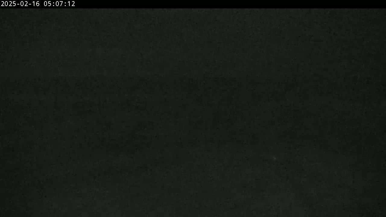 The image shows a dark, possibly nighttime, scene with an indistinct, textured surface.