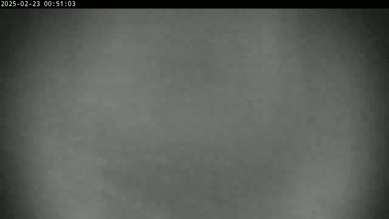 The image shows a uniformly dark gray, possibly foggy or hazy, outdoor scene at night.