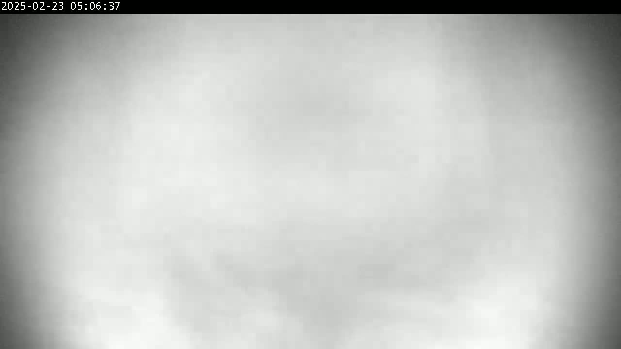 A blurry, grayscale image shows a mostly featureless expanse of light-colored fog or mist.