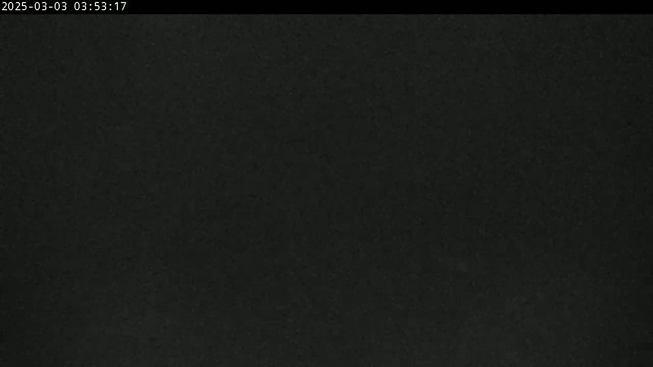 The image shows a dark, uniformly textured surface under nighttime conditions.