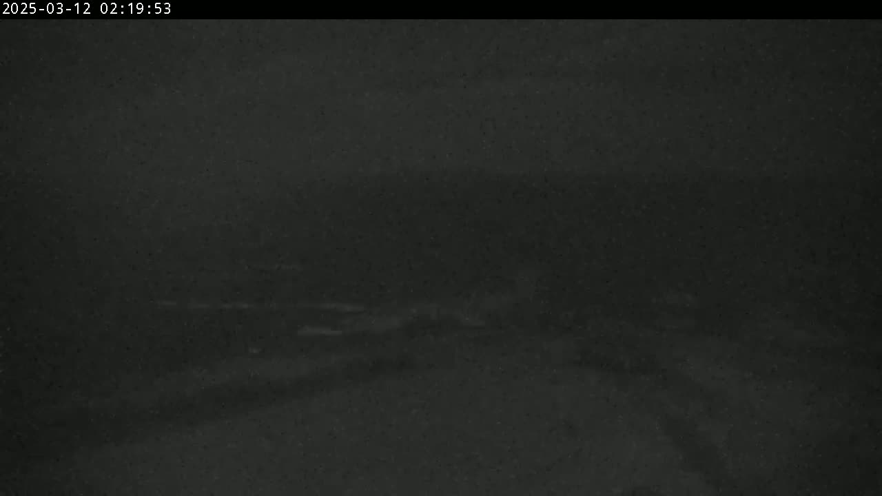 A dark, nighttime image shows a blurry, indistinct landscape under a seemingly overcast sky.