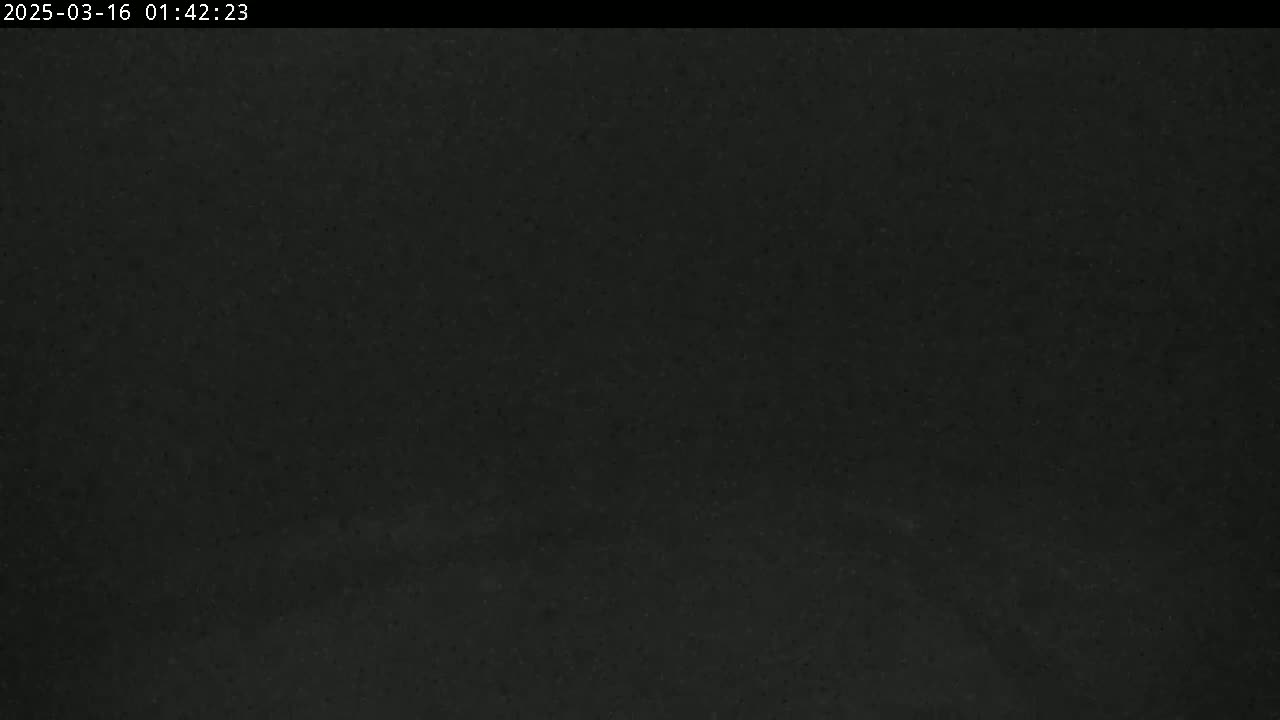 The image shows a dark, uniformly textured surface.