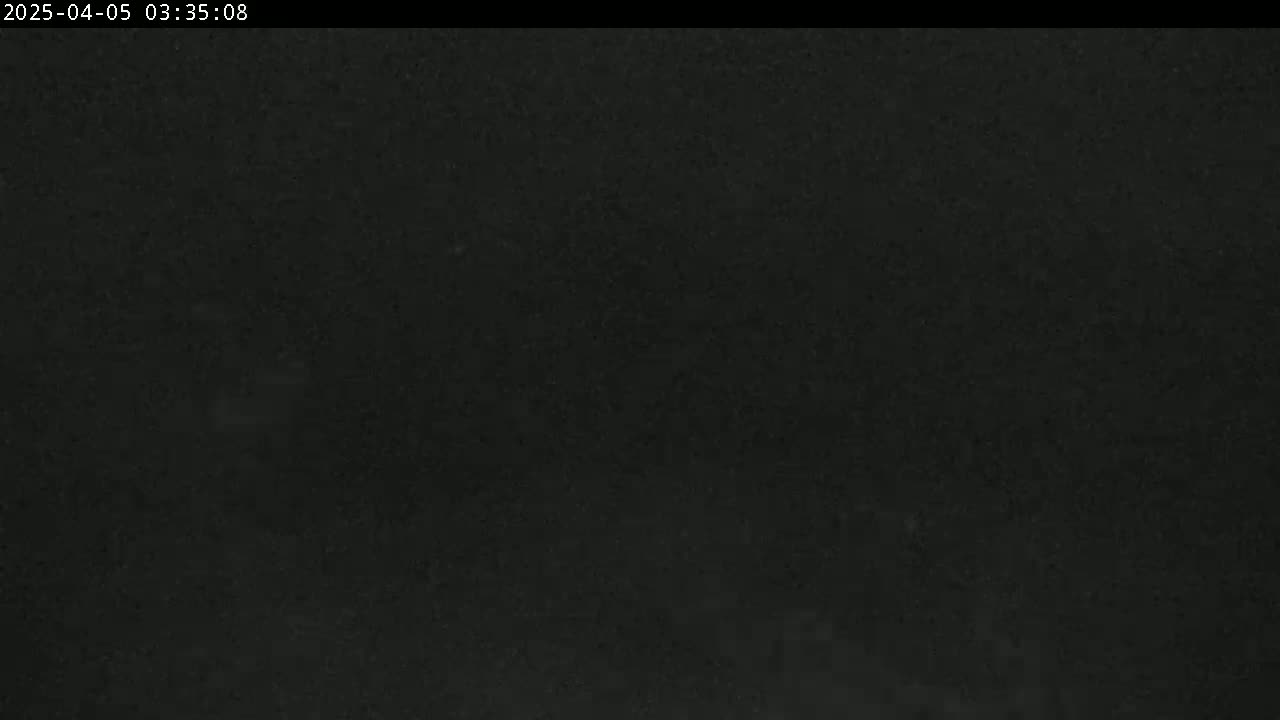 The image shows a dark, uniformly textured surface, possibly asphalt or dark concrete, under nighttime conditions.