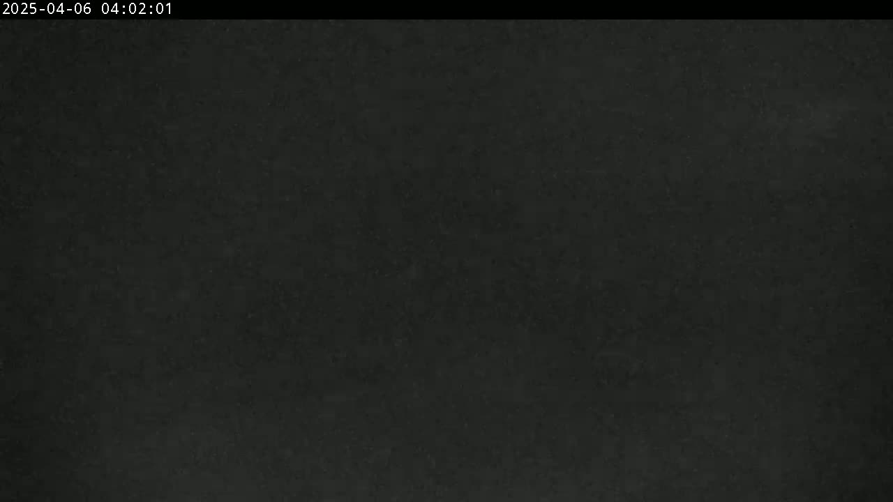 The image shows a dark, uniformly textured surface.