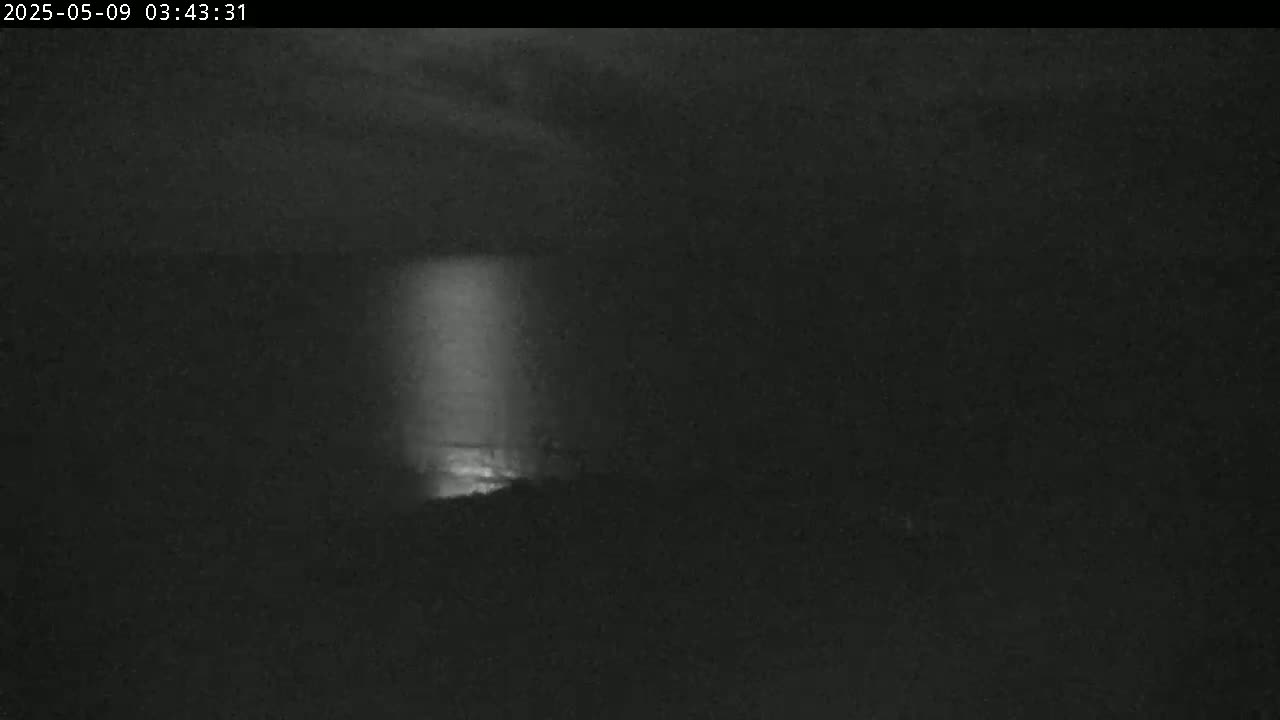 A nighttime, low-light image shows a bright beam of light illuminating a dark, possibly overcast, landscape.