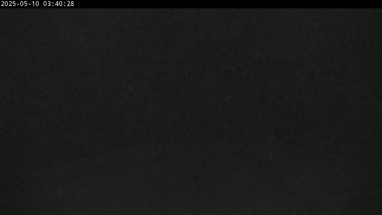 The image shows a dark, uniformly textured surface under low-light conditions.