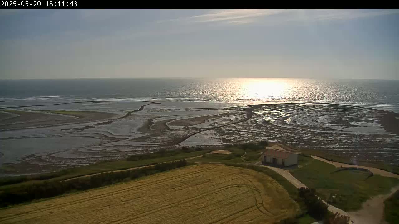 A tranquil coastal scene under a partly sunny sky shows a calm sea reflecting sunlight, a tidal flat with intricate patterns, a small building near a grassy area, and a field of golden crops.