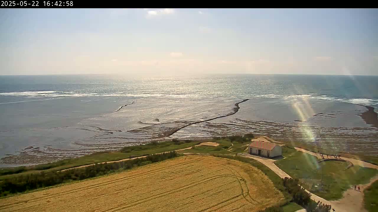 A high-angle view shows a mostly sunny day with a calm ocean, a rocky intertidal zone, a small building near a grassy area, and a large golden field.